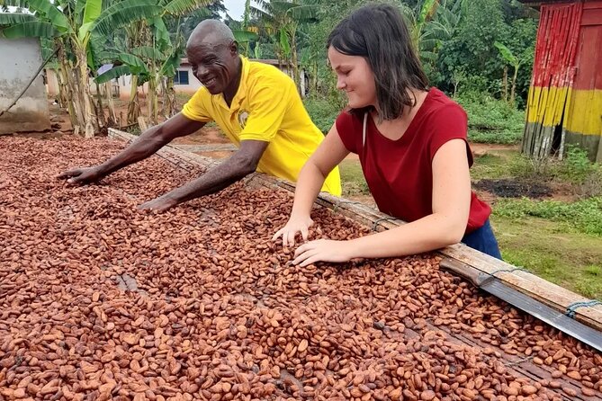 1 Day cocoa farm tour - Why the private format matters