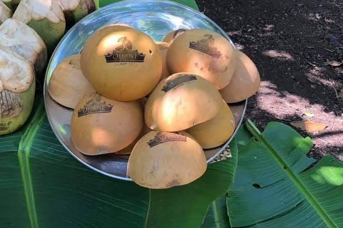 1 Day cocoa farm tour - Asamankese and Ghana’s cocoa country