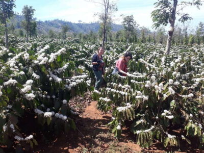 1 Day Easy Rider Tour in Dalat–Villages, Farms & Waterfalls