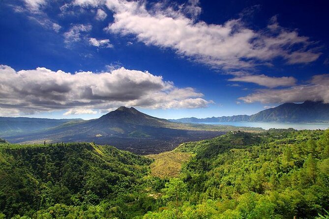 1 DAY Kintamani Plateau + Ubud + Tegallalang Rice Terrace + Tirta Empul Temple / Private tour 8 hours, English/Japanese - Key points at a glance