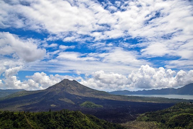 1 DAY Kintamani Plateau + Ubud + Tegallalang Rice Terrace + Tirta Empul Temple / Private tour 8 hours, English/Japanese - Kintamani Plateau and Lake Batur