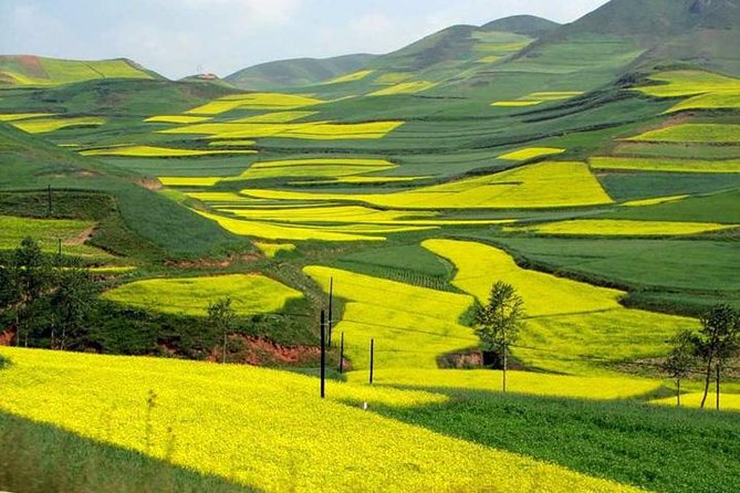1-Day Longsheng Rice Terrace Tour from Guilin with Private Guide & Driver - Jin Zhu Zhuang Village adds the cultural side