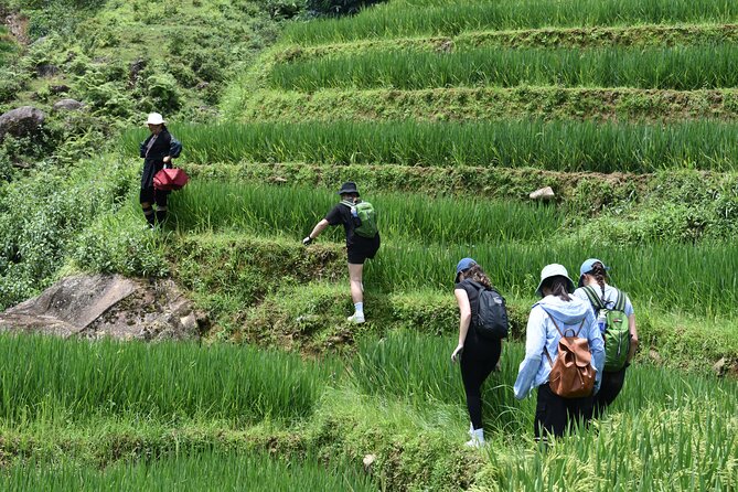 1-Day Private Trekking in Sapa through Terraces Rice Fields - What the private format is really worth
