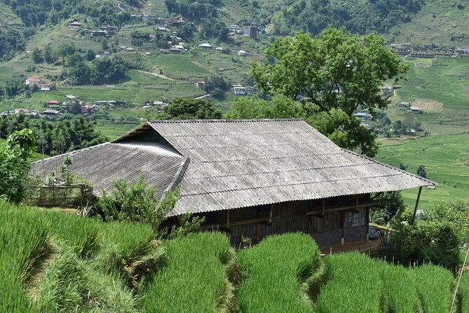 1-Day Private Trekking in Sapa through Terraces Rice Fields - Food, water, and what to bring