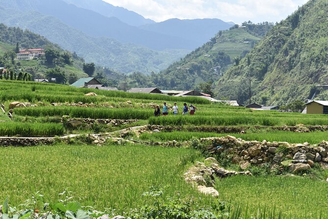 1-Day Private Trekking in Sapa through Terraces Rice Fields - How the six to seven hours may feel