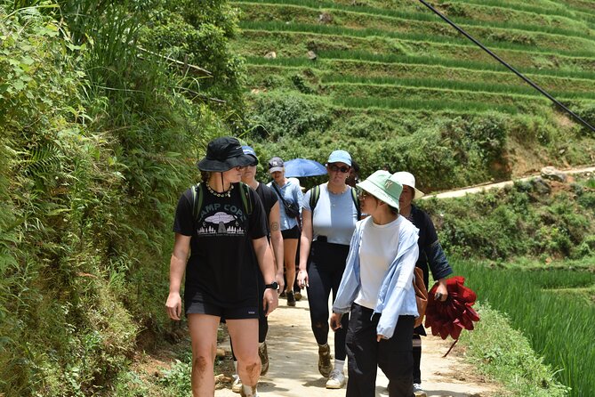 1-Day Private Trekking in Sapa through Terraces Rice Fields - Y Linh Ho: quiet paths and wide mountain views