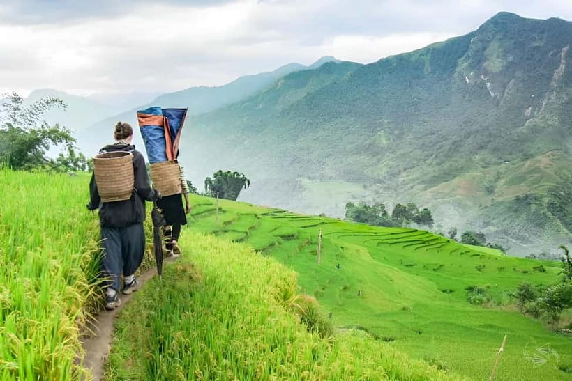 1-Day Sapa Long Trek - Rice Field Terrace, Ethnic Culture - Traditional cloth, natural dye, and village craft