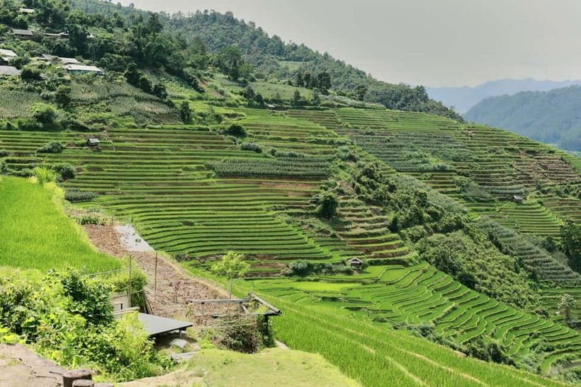 1-Day Sapa Long Trek - Rice Field Terrace, Ethnic Culture - Ta Van and the return to Sapa