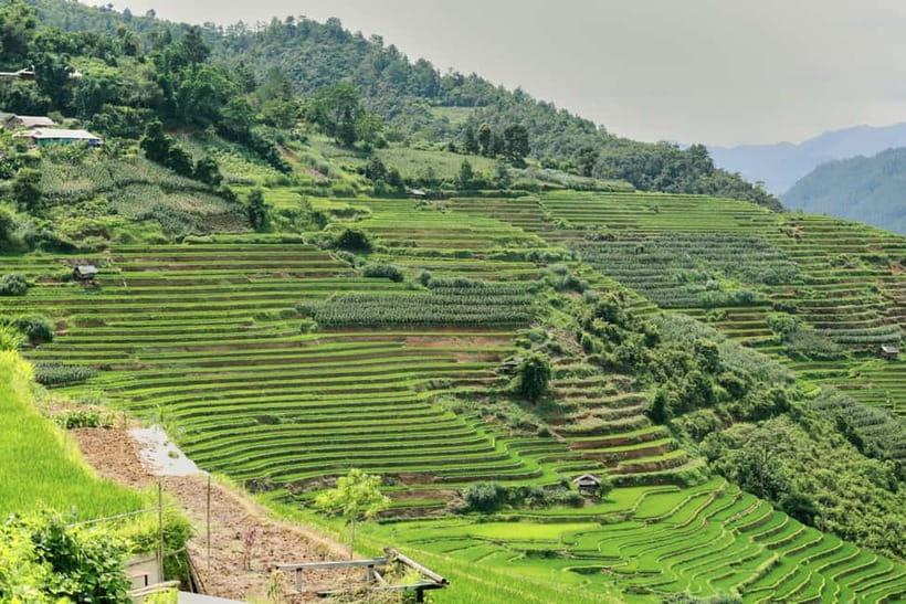 1-Day Sapa Long Trek - Rice Field Terrace, Ethnic Culture - What the guides add to the route