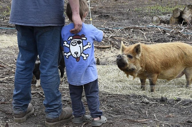 1 Hour Guided Farm Tour in the Adirondacks - Who will get the most from this tour?