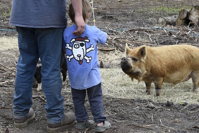 1 Hour Guided Farm Tour in the Adirondacks - Meeting Laura and Brandon at The Cook Farm