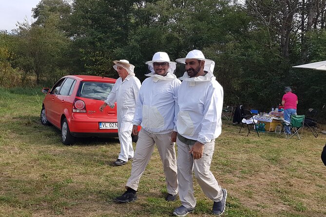 10 hours Private Apiary Tour in Romania - From Bucharest - Leaving Bucharest for Vâlcea County