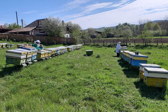 10 hours Private Apiary Tour in Romania - From Bucharest - Is the $290.89 price good value?