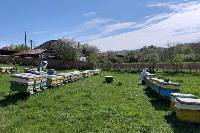 10 hours Private Apiary Tour in Romania - From Bucharest - Season, timing, and practical planning