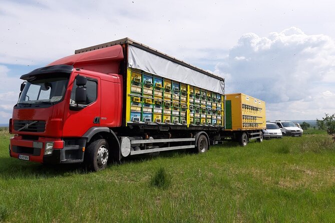 10 hours Private Apiary Tour in Romania - From Bucharest - Tasting Romanian honey at the source