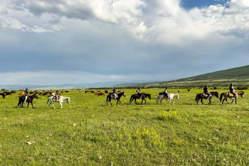 2-hour horse riding tour at Palomino Ranch Near Tbilisi - What the Pace Feels Like for Beginners