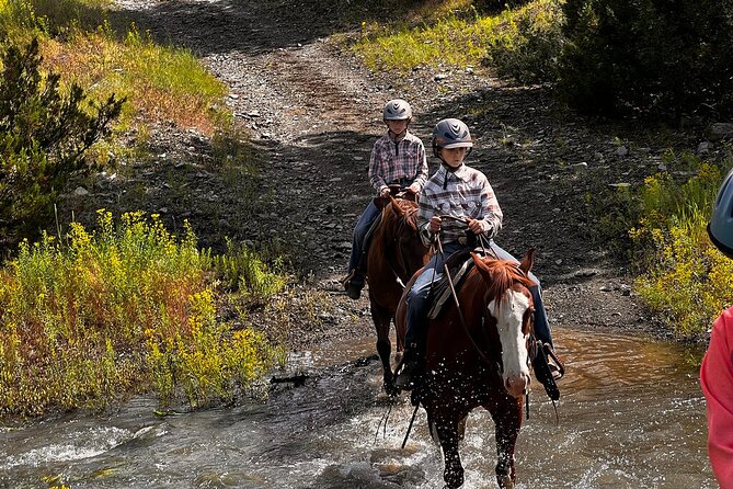 2 Hour Trail Ride in Montana Ranch Country - How the Two Hours Feel on the Trail