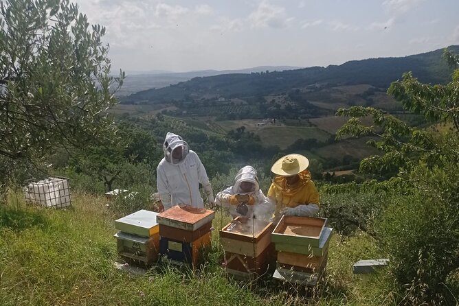 2 hours Beekeeping and Honey Tasting Activities in Assisi - Key points at a glance