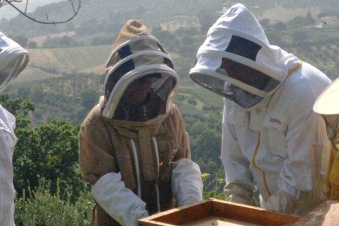 2 hours Beekeeping and Honey Tasting Activities in Assisi - The first hour: bee life, roles, and local honey
