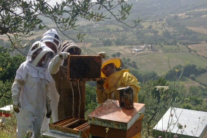 2 hours Beekeeping and Honey Tasting Activities in Assisi - Is $69.46 a fair price?