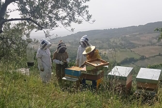 2 hours Beekeeping and Honey Tasting Activities in Assisi - Timing, meeting point, and pickup