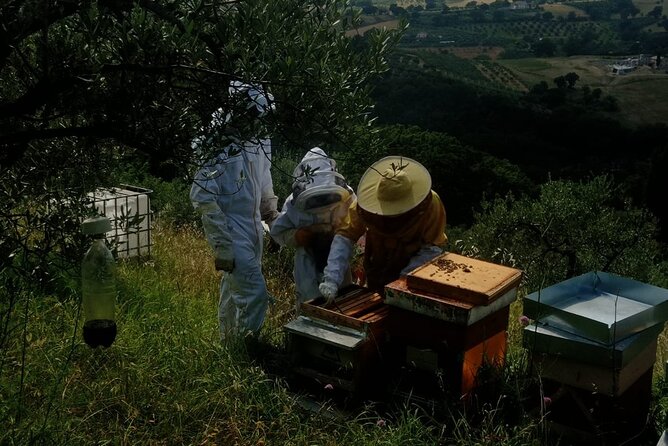 2 hours Beekeeping and Honey Tasting Activities in Assisi - Who should book this activity?