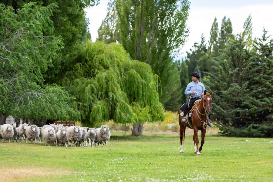 25 DE MAYO FARM - Wool, spinners, and the matera