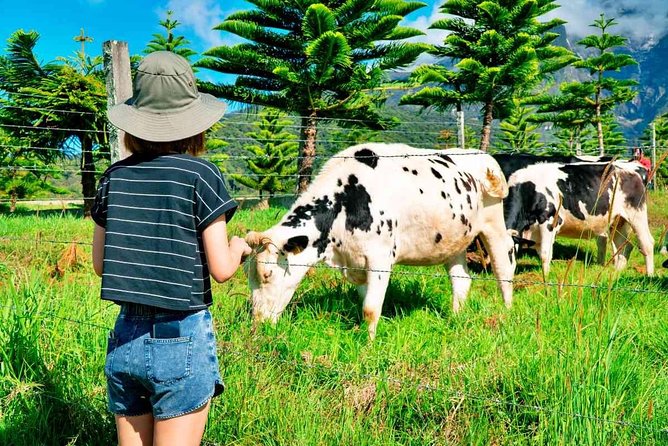 2d1n Kinabalu Park & Poring Canopy Walk & Desa Cow Farm Tour - Key points at a glance