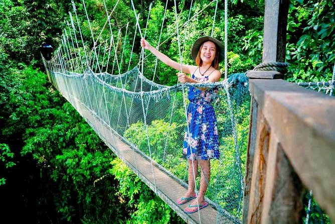2d1n Kinabalu Park & Poring Canopy Walk & Desa Cow Farm Tour - A highland night near Mount Kinabalu