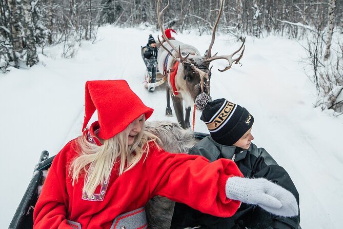 2km Sleigh Ride & Feeding Experience at Traditional Reindeer Farm - Who will enjoy this farm visit most
