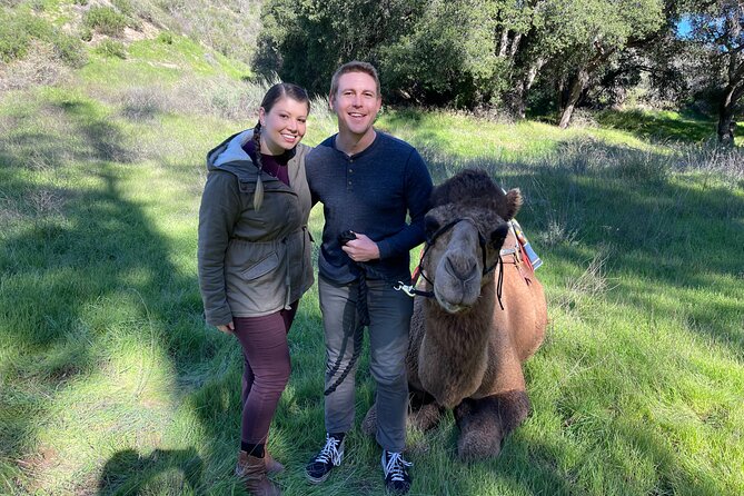 3 Hour Camel Trek into the Forest and Ranch in California - Herbie and Sully Lead the Ride