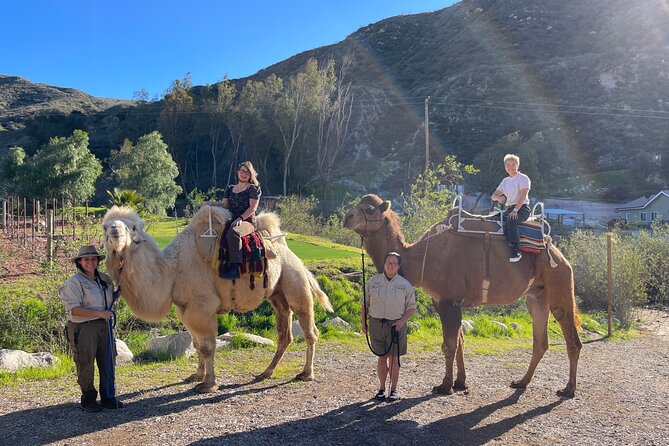 3 Hour Camel Trek into the Forest and Ranch in California - The Forest Picnic: Pizza, Strawberries, and a Toast