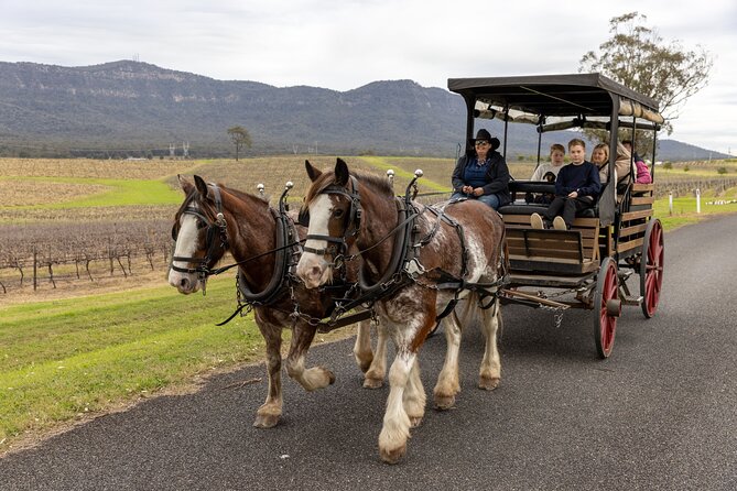 3- Hour Wine and Harvest the Hunter Horse Tour in Pokolbin - Key points at a glance