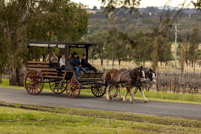 3- Hour Wine and Harvest the Hunter Horse Tour in Pokolbin - Why the horse-drawn carriage changes the day