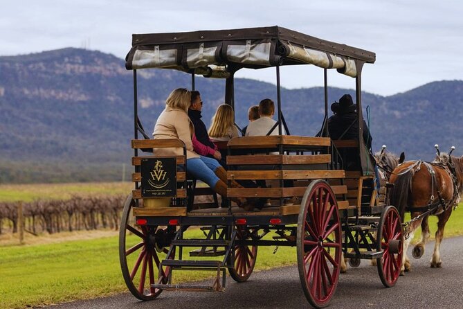 3- Hour Wine and Harvest the Hunter Horse Tour in Pokolbin - The guides make a real difference