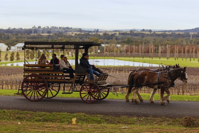 3- Hour Wine and Harvest the Hunter Horse Tour in Pokolbin - Is $106.87 good value?