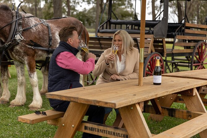 3- Hour Wine and Harvest the Hunter Horse Tour in Pokolbin - What happens during the three hours