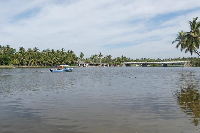 3 Palos Lagoon AfroMex Village Turtle Release & Croc Farm Visit - Is $115 a fair price for six hours?