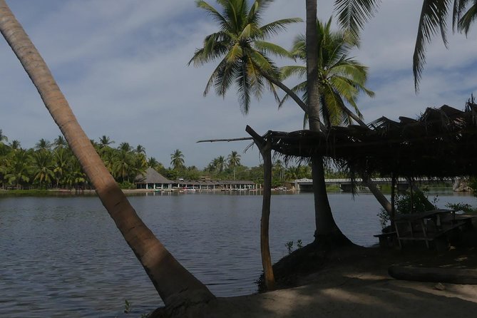 3 Palos Lagoon AfroMex Village Turtle Release & Croc Farm Visit - Pickup, timing, and what to bring