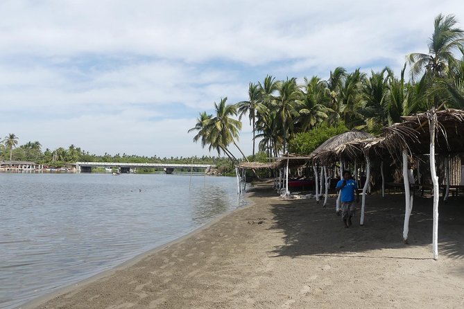 3 Palos Lagoon AfroMex Village Turtle Release & Croc Farm Visit - Who will enjoy this Acapulco outing?