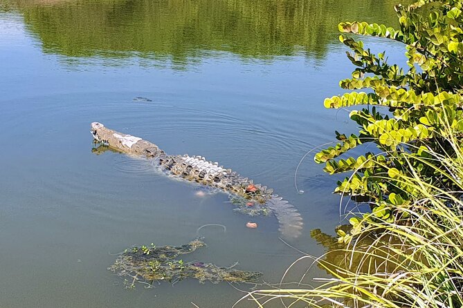 3 Palos Lagoon AfroMex Village Turtle Release & Croc Farm Visit - Should you book the Tres Palos Lagoon tour?