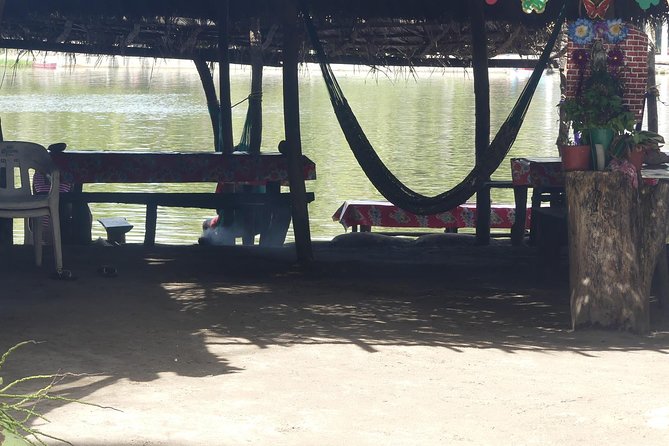 3 Palos Lagoon AfroMex Village Turtle Release & Croc Farm Visit - Barra Vieja and the local lunch stop