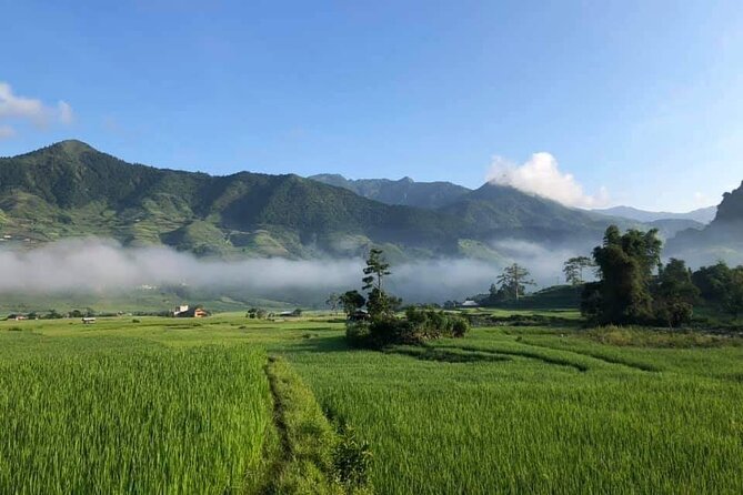 3D2N- Rice Terraces Treks & Easy rider from Sa Pa - Day 3: A six-hour trek beside Nam Kim Stream