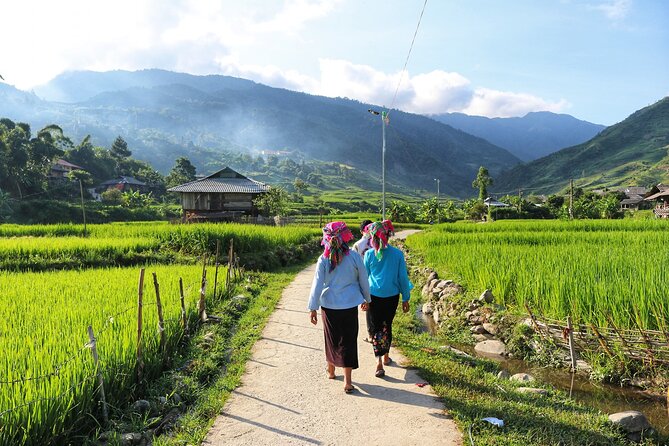3D2N- Rice Terraces Treks & Easy rider from Sa Pa - Day 2: Khau Pha Pass, bamboo forest, and rice terraces