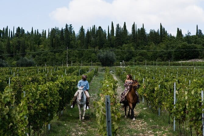 4 WINES TASTING in a Chianti Classico Farm (Visit/tour at the winery included) - Is $33.72 a Fair Price?