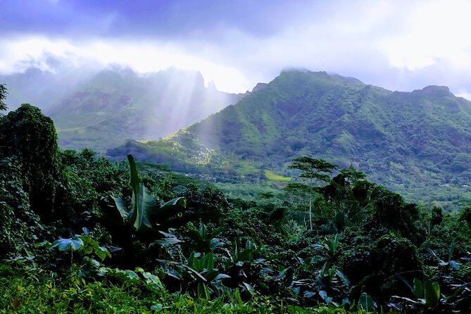 4x4 Tour – Culture, Crafts and Agritourism in Raiatea - Why this Raiatea tour feels different
