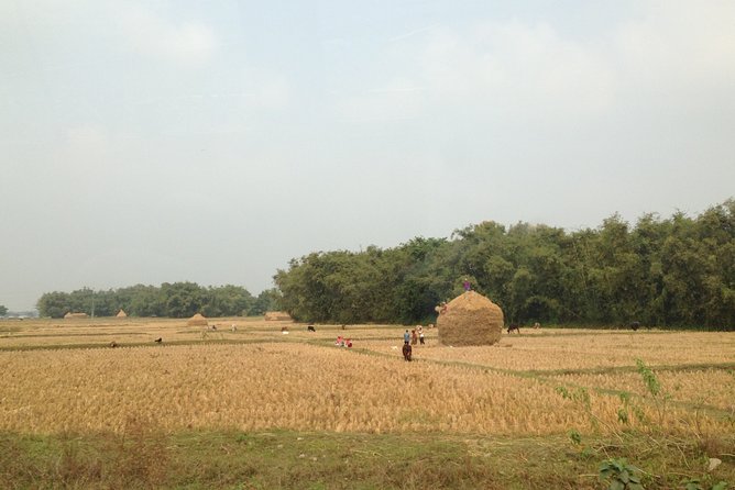 5-Day Private Farming Experience in Nayapul with Accommodation - Key points to know before booking
