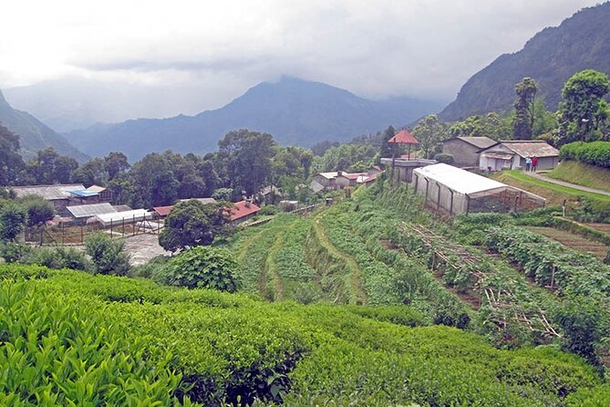 5-Day Private Farming Experience in Nayapul with Accommodation - Leaving Pokhara for a village near Nayapul