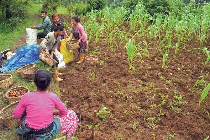 5-Day Private Farming Experience in Nayapul with Accommodation - Working the fields on days three and four