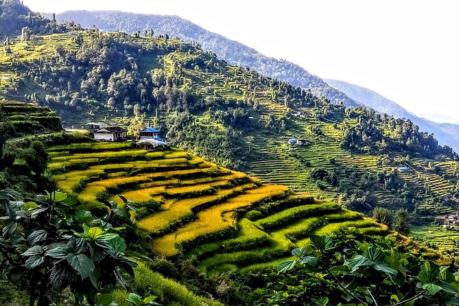 5-Day Private Farming Experience in Nayapul with Accommodation - Eating and living with the homestay family